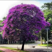Avatar de Só pessoas de 30/40 anos