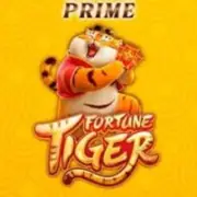 Robô fortune tiger prime 🐯 - Grupo do Telegram