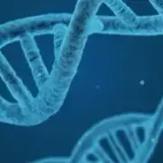 Avatar de Canal ciência