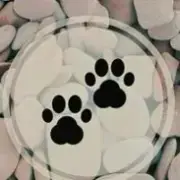 Avatar de Amigos de Patas 🐾🐕