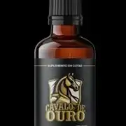 Avatar de Cavalo de Ouro