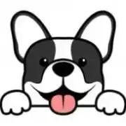 Avatar de Pets Engraçados 🐾