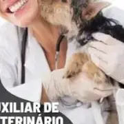 Avatar de Como Si Torna Um Auxiliar Veterinário De Sucesso