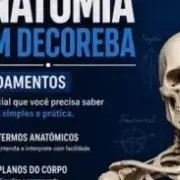 Avatar de Descomplica Anatomia 📚