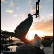 Avatar de Rio das Ostras - RJ