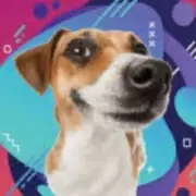 Avatar de Adestramento de Cães