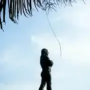 Niterói Hoje - Grupo do Telegram