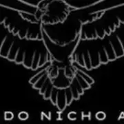 Avatar de CAPTAÇÃO AGENTES