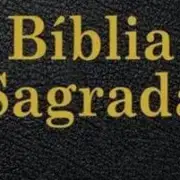 Avatar de Netflix de Histórias Bíblicas