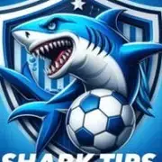 Avatar de SHARK7 TIPS 👑