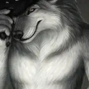 Avatar de O Lobo Pidão