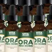 Vita Ora Pro Nobis – O Fim das Dores - Grupo do Telegram