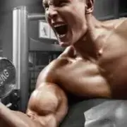 Diário De Treino 💪🏽 - Grupo do Telegram