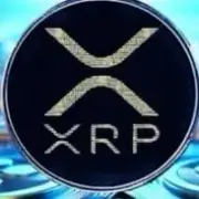 Avatar de Xrp A Nova Onda Cripto